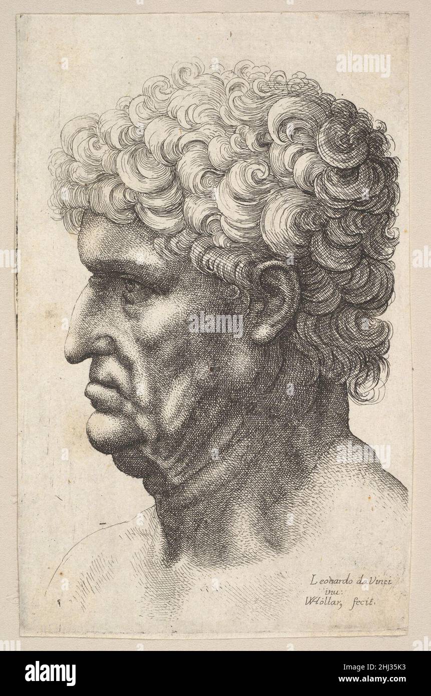 Kopf eines Mannes mit dicken lockigen Haaren im Profil links 1644–52 Wenzel Hollar Bohemian. Kopf eines Mannes mit dicken lockigen Haaren im Profil links 359895 Stockfoto