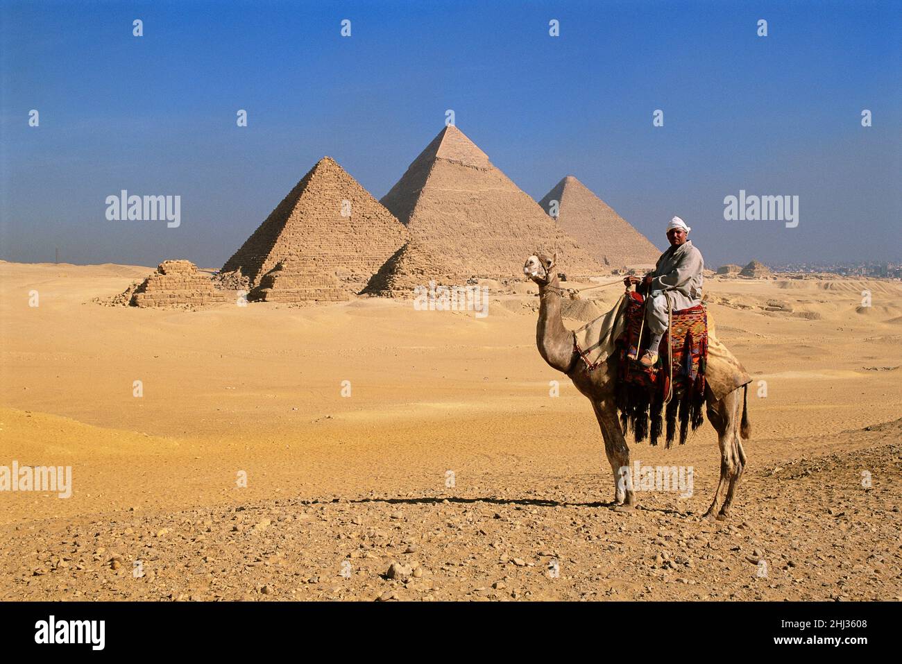 Mann auf einem Kamel vor den Pyramiden von Gizeh, Gizeh, Ägypten Stockfoto