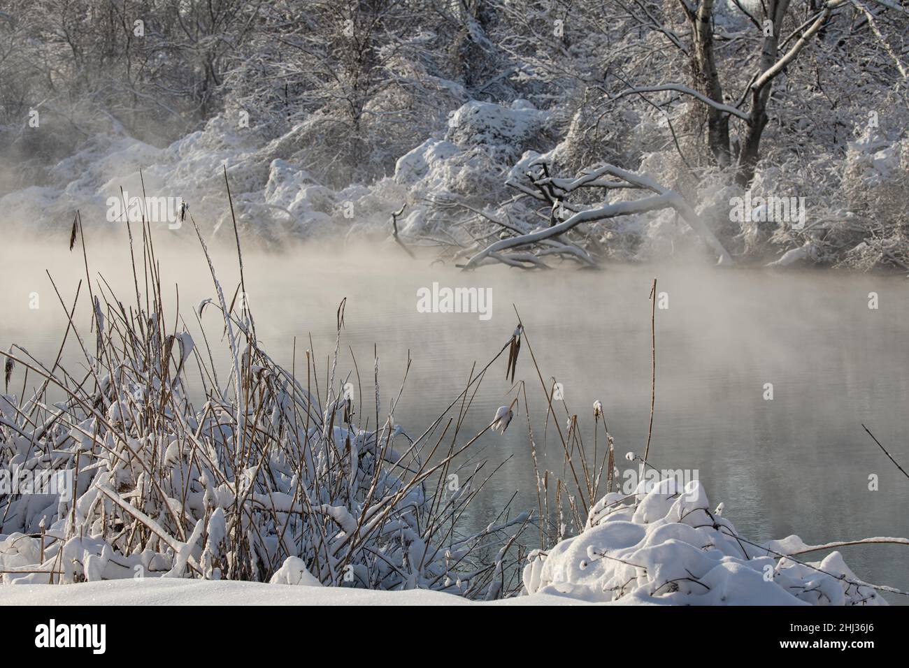 Winterlandschaft, Fluss mit Nebel im Winter, Krasnodar, Russland Stockfoto