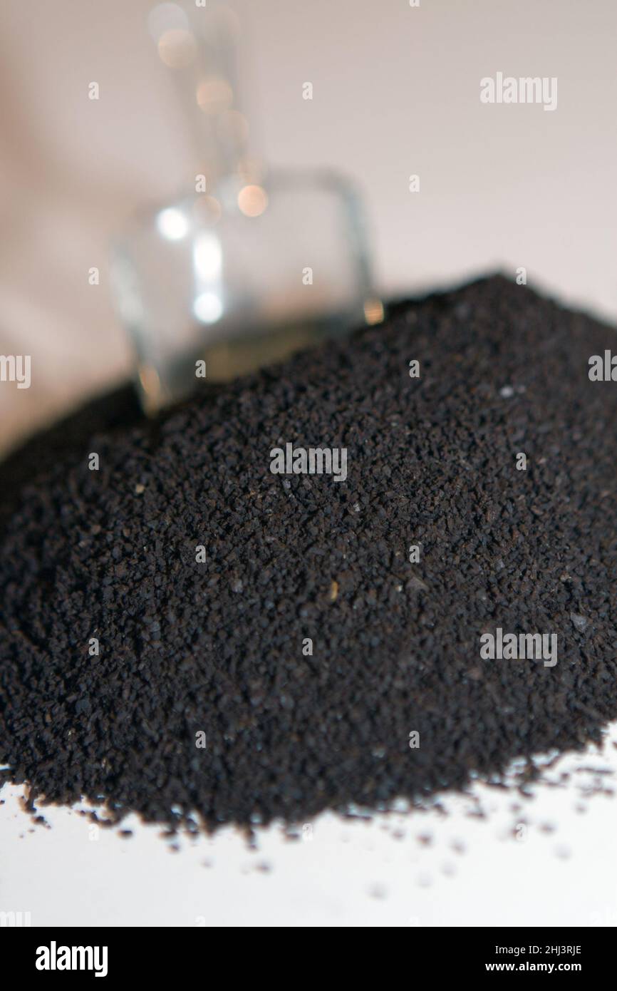 Gemahlene Kaffeebohnen, bereit zum Brühen in der Kaffeemaschine für das morgendliche Ritual der Kaffeegetränke Stockfoto