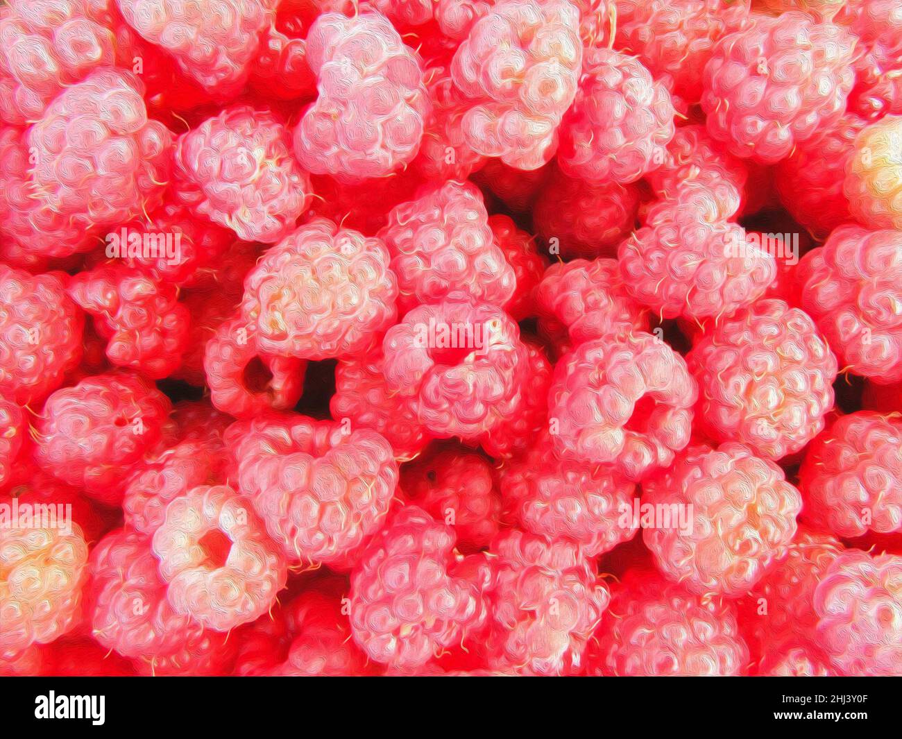 Blick von oben auf saftige Himbeer-Beeren in leuchtend rosa Farbtönen. Ein schöner Hintergrund für gesundes Essen. Das Bild wurde in der Ölgemälde-Technik gemacht Stockfoto