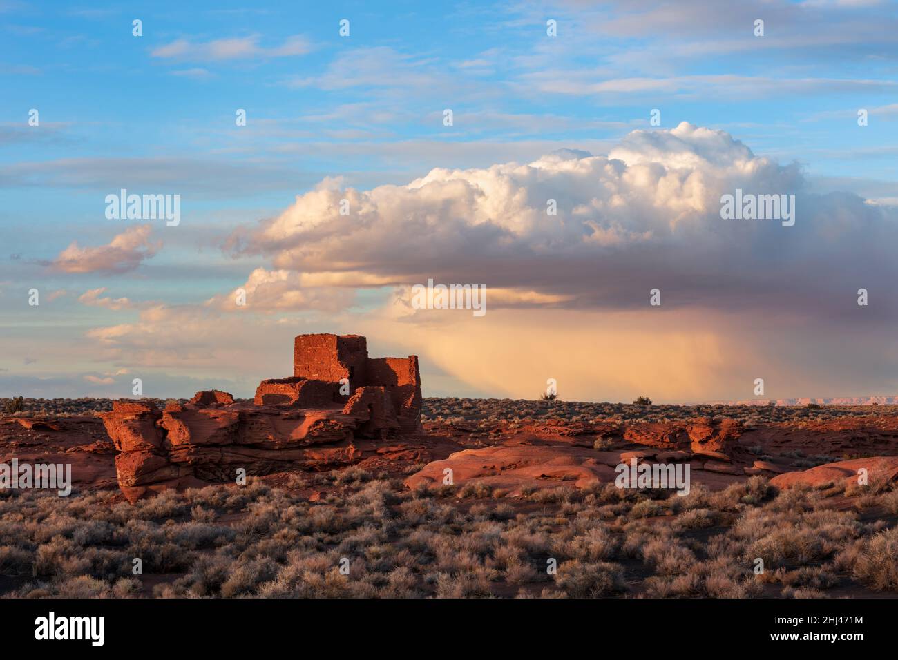 Panoramablick auf die Pueblo-Ruinen von Wukoki bei Sonnenuntergang im Wupatki National Monument, Arizona Stockfoto