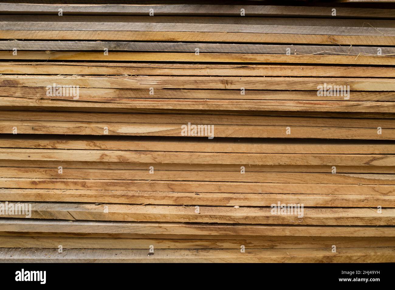 Kastanienbaum Holzbretter gestapelt Stockfoto