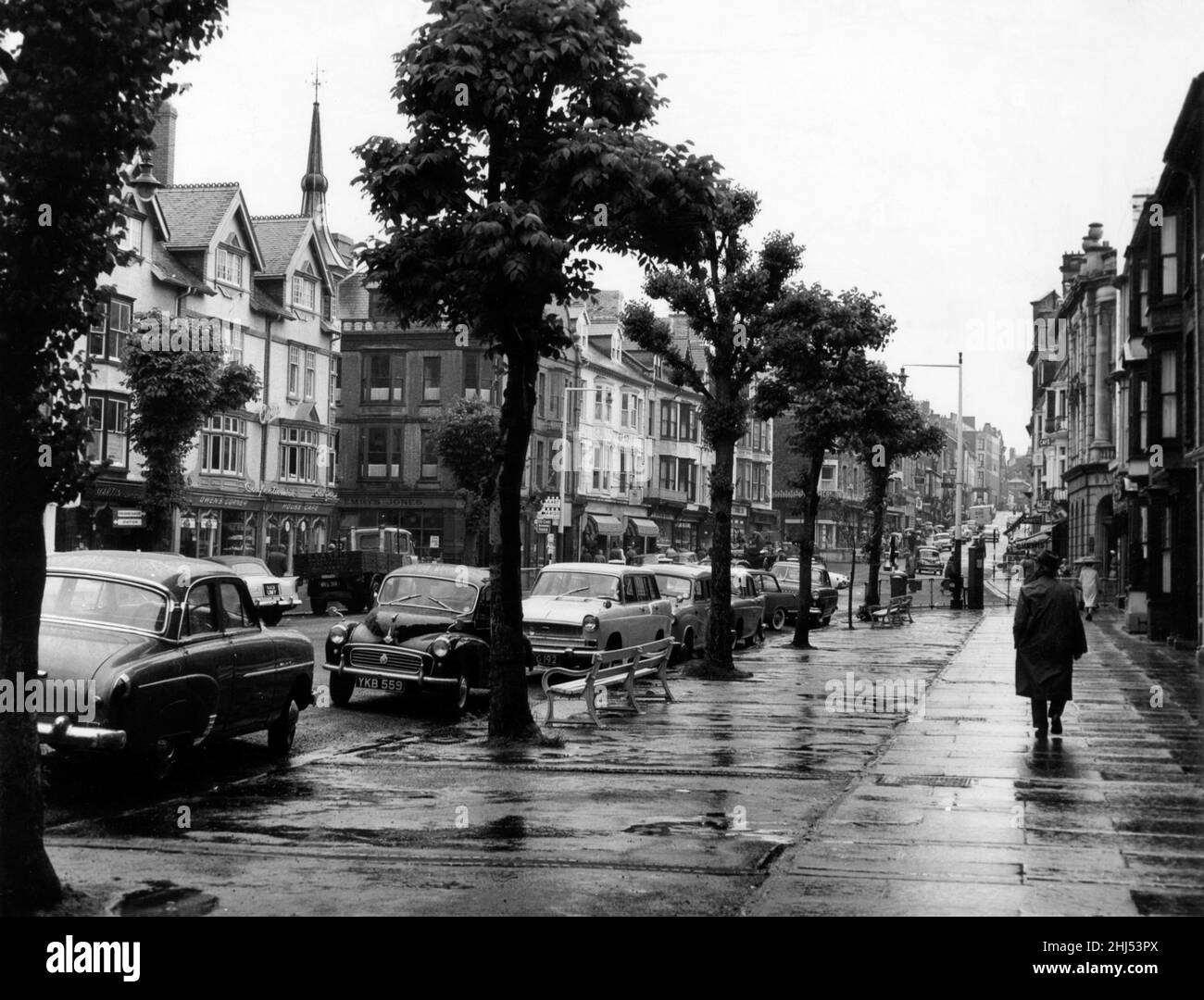 Straßenszenen, Aberystwyth, Ceredigion, West Wales, 22nd. Juni 1961. Von Bäumen gesäumte Hauptstraße mit ihren großen Parkplätzen. Stockfoto