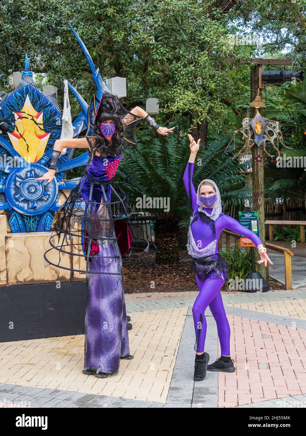 „Spider Queen“-Darsteller beim ZooTampa „Creatures of the Night“-Halloween-Event - Tampa, Florida, USA Stockfoto