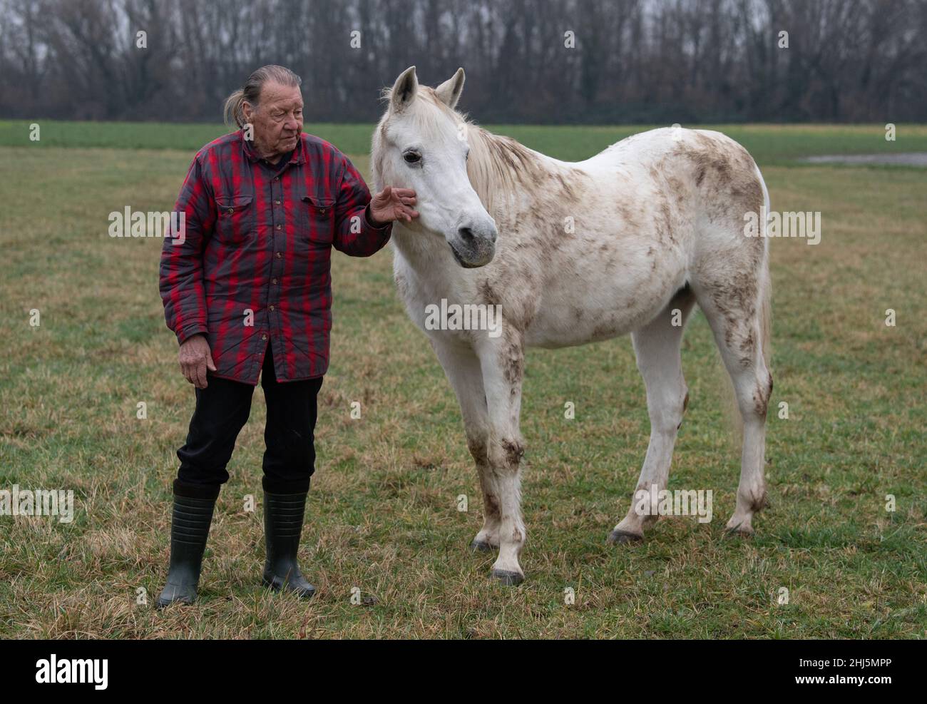 25. Januar 2022, Hessen, Frankfurt/Main: Werner Weischedel streichelt seine arabische Stute 'Jenny'. Das Pferd, das weltweit als „Wandernde Stute Jenny“ bekannt wurde, ist schwer an Krebs erkrankt und wird tierärztlich behandelt. (To dpa 'Wanderstute Jenny is krank') Foto: Boris Roessler/dpa Stockfoto