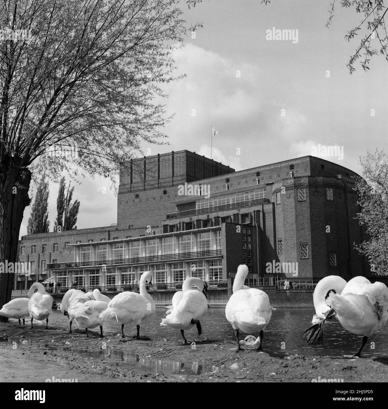Royal Shakespeare Theatre, Stratford-upon-Avon, Warwickshire. 27th. April 1961. Stockfoto