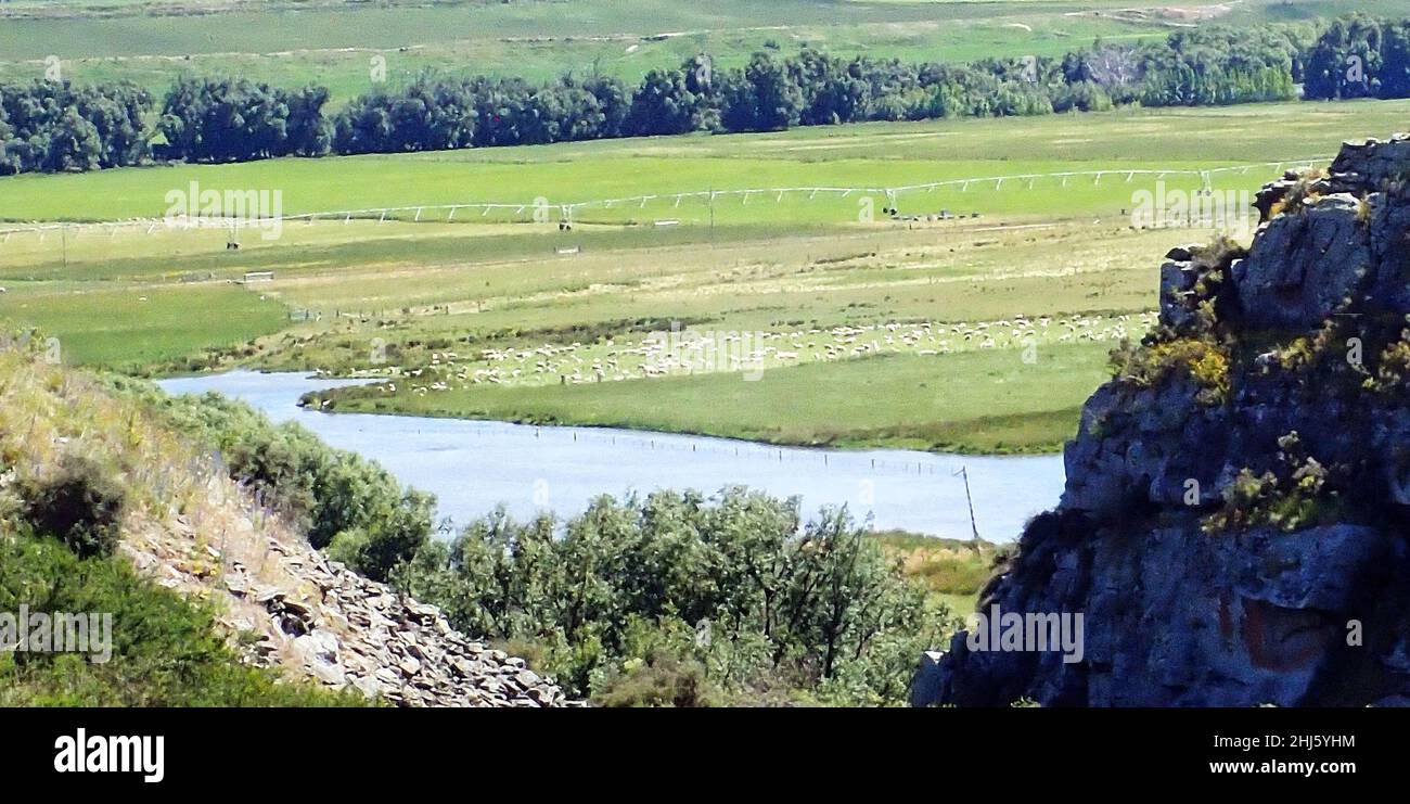 Auf dem Otago Rail Trail NZ, Blick auf Schafe und Bewässerung in einem Fahrerlager am Fluss Stockfoto