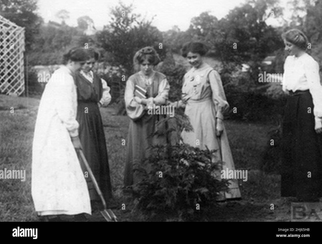 Suffragette Vera Wentworth pflanzt einen Baum mit Millicent Brown, Annie Kenney, Mary Phillips und Elsie Howey 1909. Stockfoto