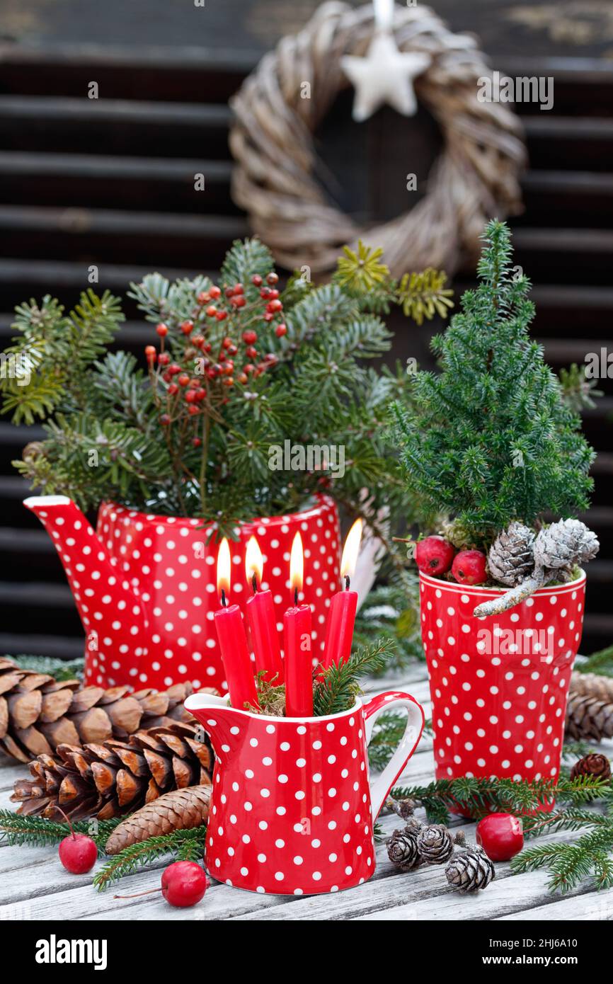 weihnachtsdekoration mit roten Adventskerzen, Nadelholz und Porzellan Stockfoto