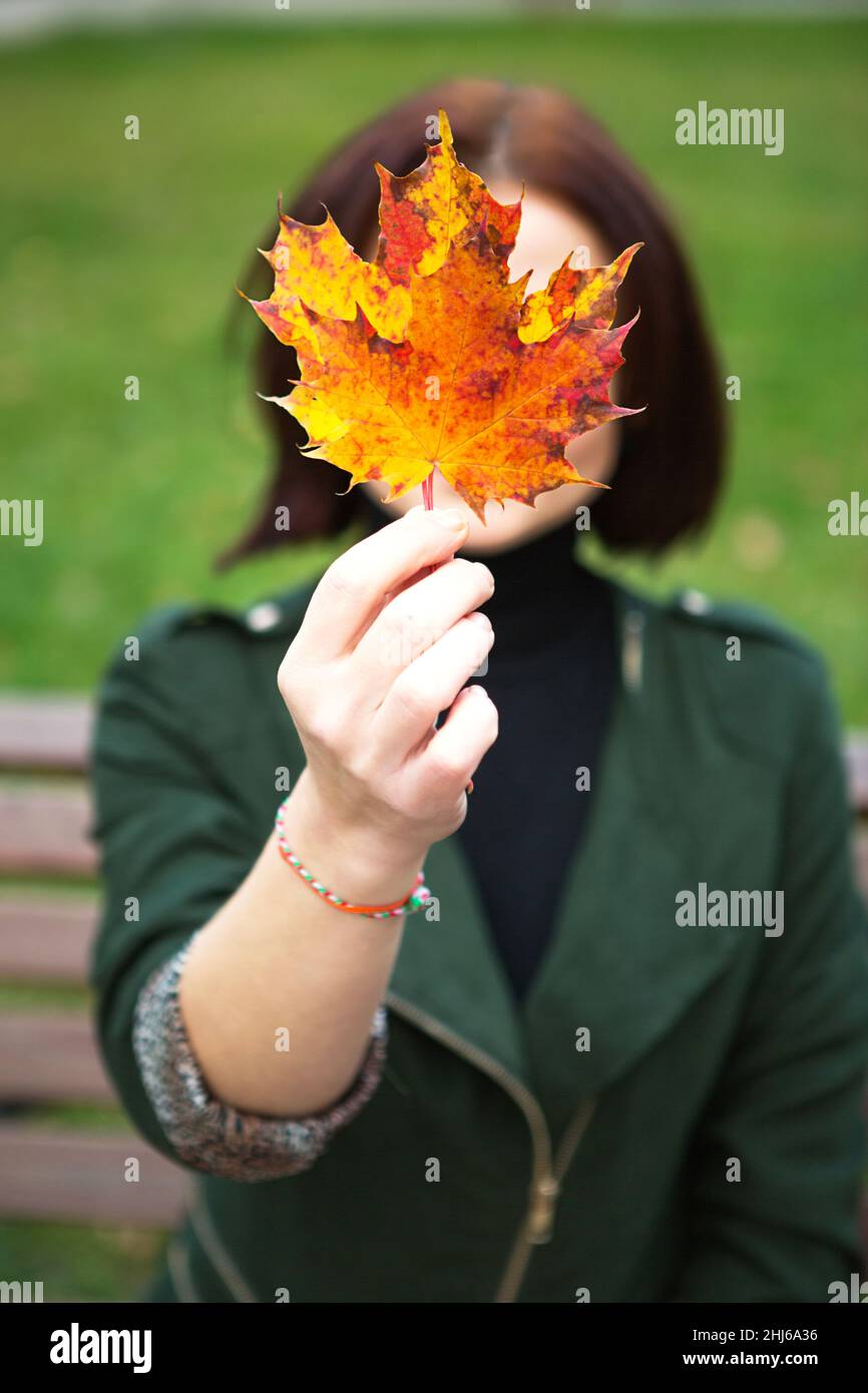 Eine Frau mit einem gelb gefallenen Ahornblatt bedeckt ihr Gesicht. Herbstporträt ohne Gesicht auf einer Parkbank. Herbststimmung Stockfoto