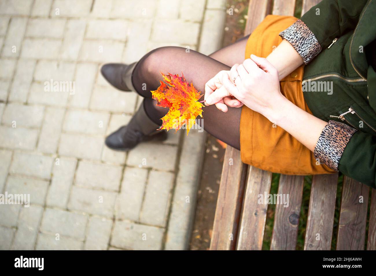 Beine einer Frau in Nylonstrumpfhose in geschlossener Pose Bein über Bein in einem kurzen Senf Minirock und in einer grünen Jacke mit einem Ahornblatt in der Hand. Autum Stockfoto