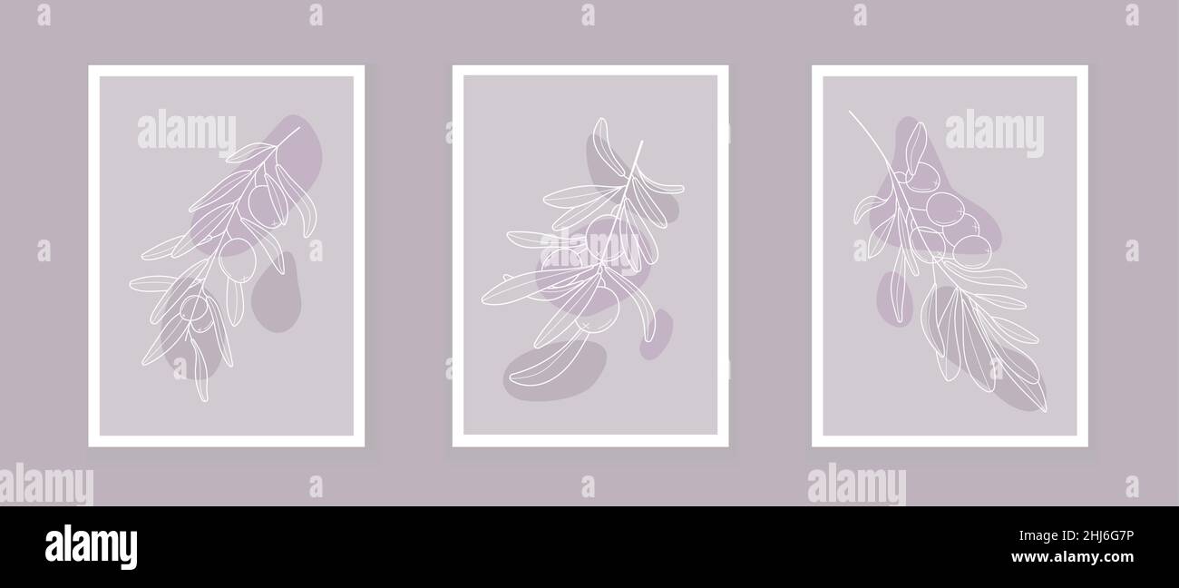 Vektor des böhmischen Olivenzweiges. Oliven mit Blättern in einem linearen Stil. Boho Logo Natur, Feldpflanzen Illustration für Wandkunst Stock Vektor