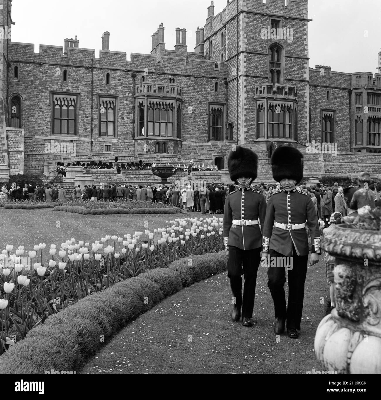 Mehrere hundert Menschen gingen heute zum Schloss Windsor, um den Bands zuzuhören, die auf der Terrasse der Royal Apartments spielten. Die königliche Familie konnte durch die Fenster gesehen werden, auch sitzen und der Musik lauschen. Sie spielten zunächst „Happy Birthday“, um den Geburtstag der Königin zu feiern. 21st. April 1957. Stockfoto