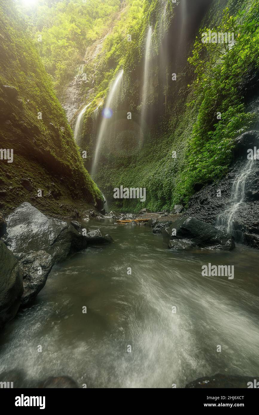 Madakaripura Wasserfall, bereisen Indonesien Asien Stockfoto