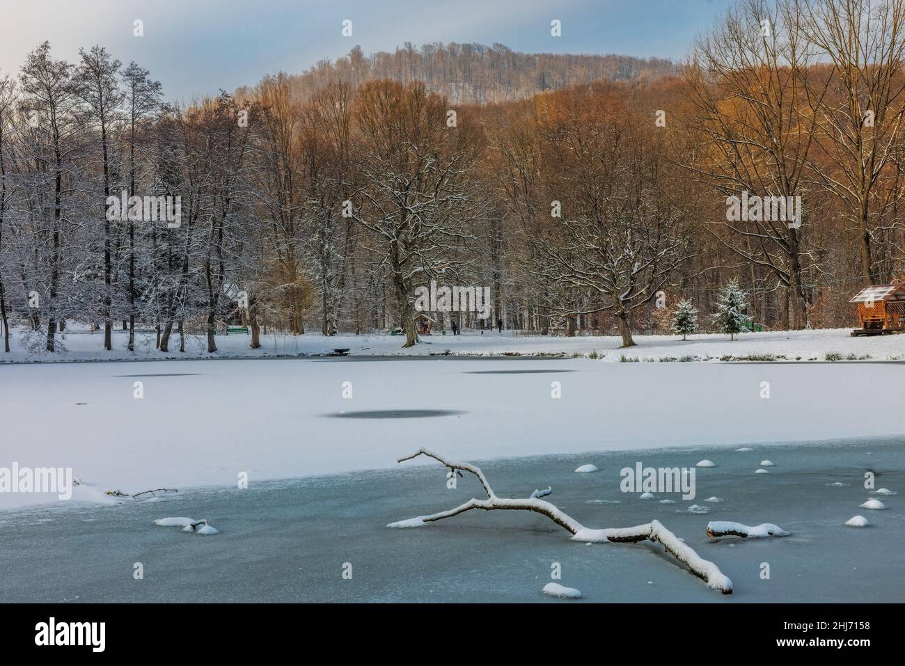 Winter im Park mit gefrorenem See in der Ukraine Stockfoto