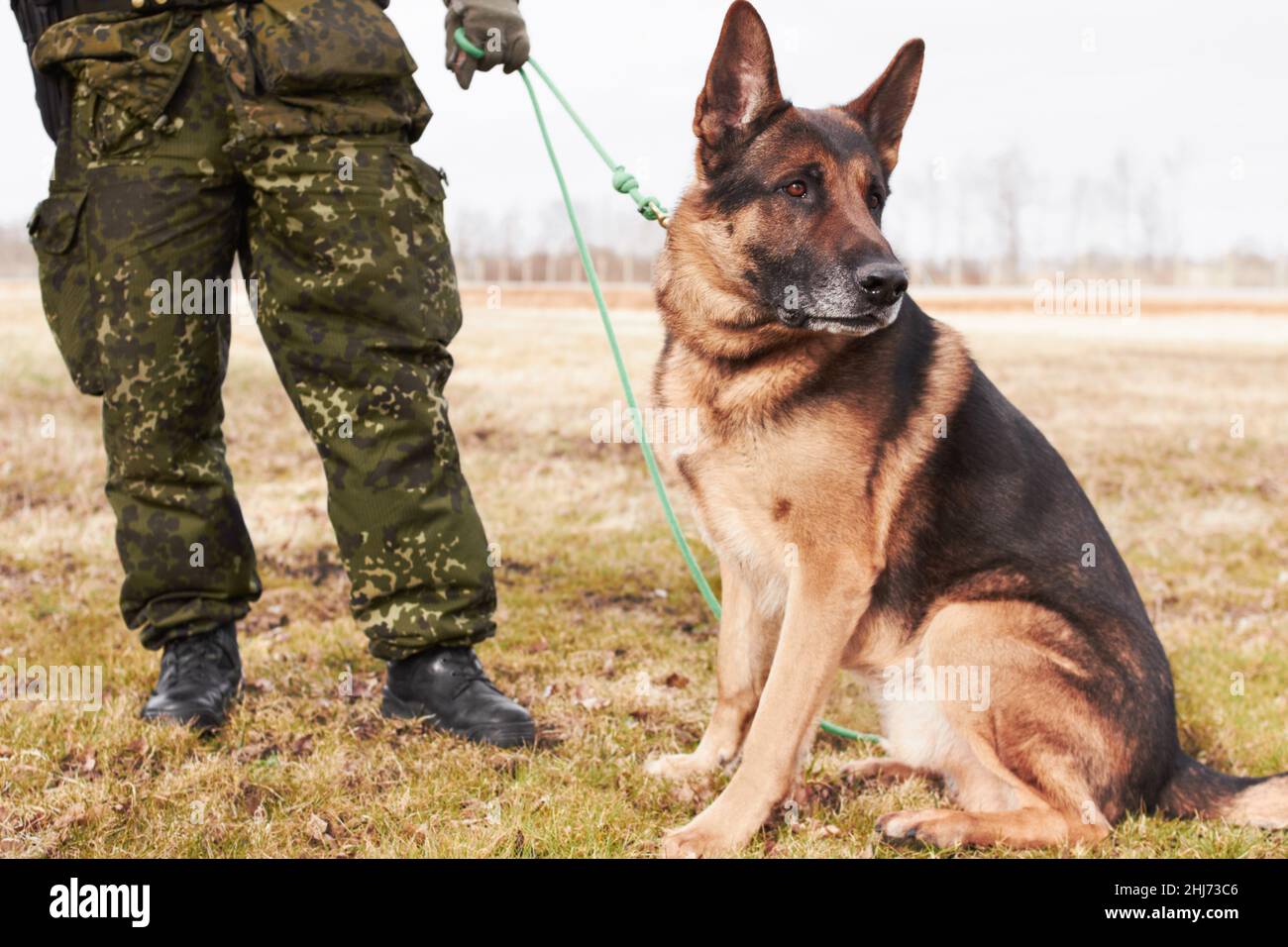 Bester Freund des Soldaten. Ein Soldat steht mit seinem Hund. Stockfoto