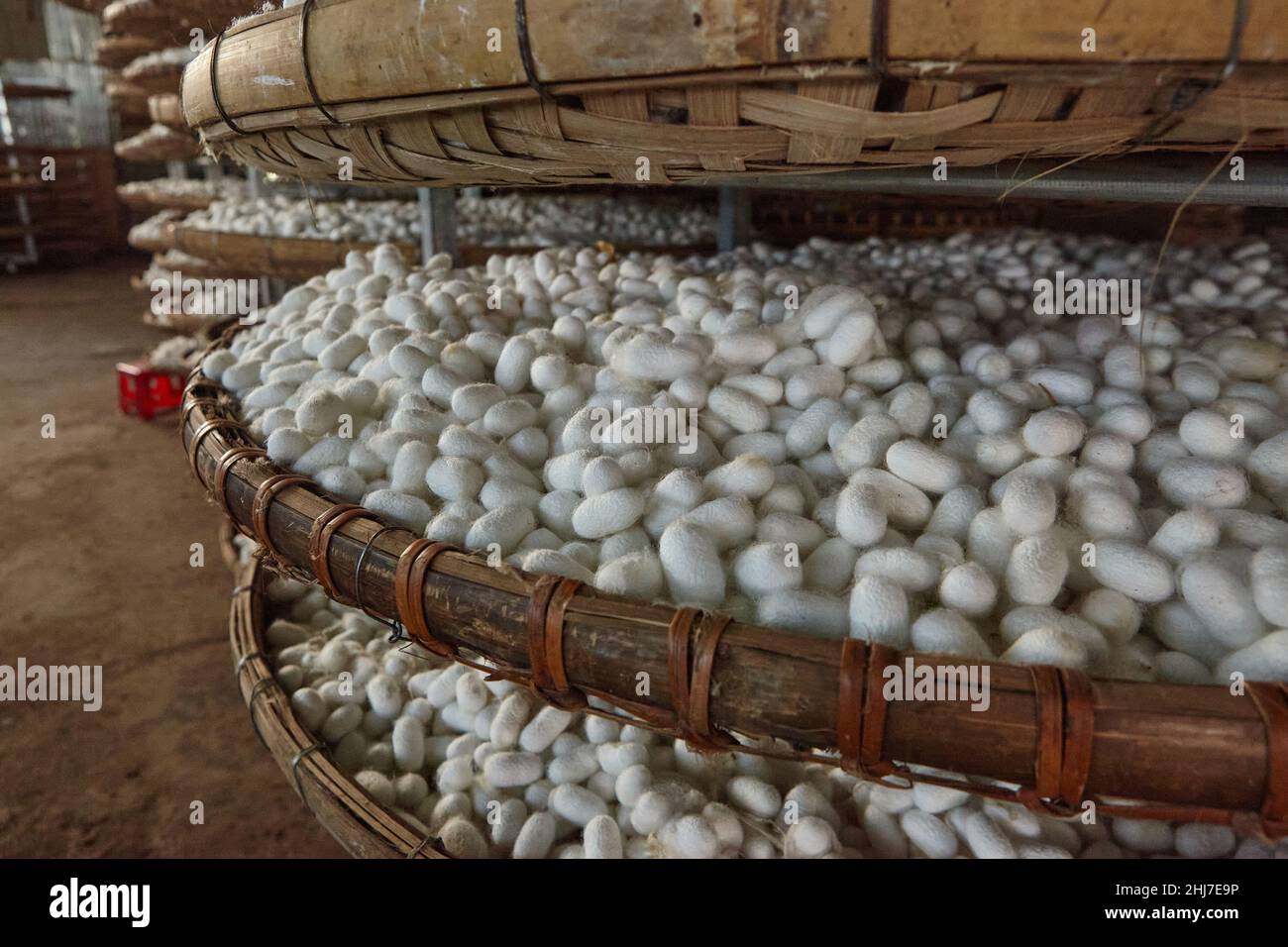 Kleine Seidenfabrik um Da Lat in Vietnam Stockfoto