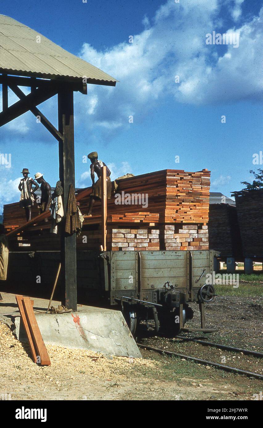 1960s, historisch, in einem Holzwerk Eisenbahngleis, Planken aus gesägtem oder gefrästem Holz auf einen Eisenbahnwaggon verladen, Ghana, Westafrika. Ein Land mit großen natürlichen tropischen Wäldern, die über die Hälfte des Landes bedecken, Der Holzeinschlag und der Holzexport wurden zu einem wichtigen Teil seiner Wirtschaft, aber dies führte schließlich zu schwerer Abholzung und Anfang 1990s war die ghanische Regierung gezwungen, viele Holzausfuhren zu verbieten. Stockfoto