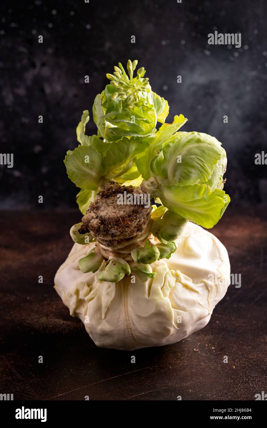 Sprießkohl stumpf, Stiel mit Blumen und jungen Blättern. Stockfoto