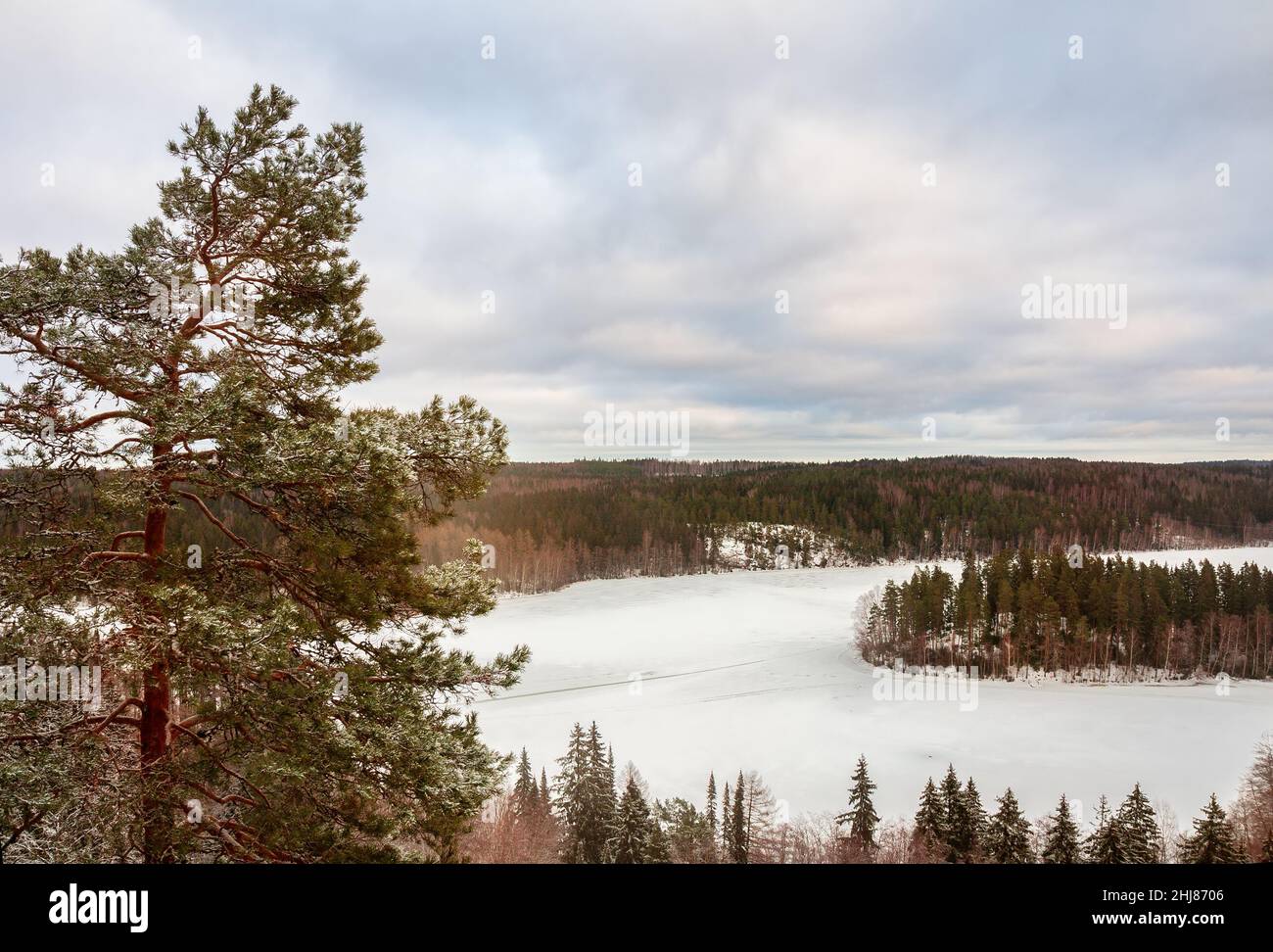 Winter im Aulanco Naturpark. Waldsee an einem bewölkten Wintertag. Hämeenlinna, Finnland Stockfoto