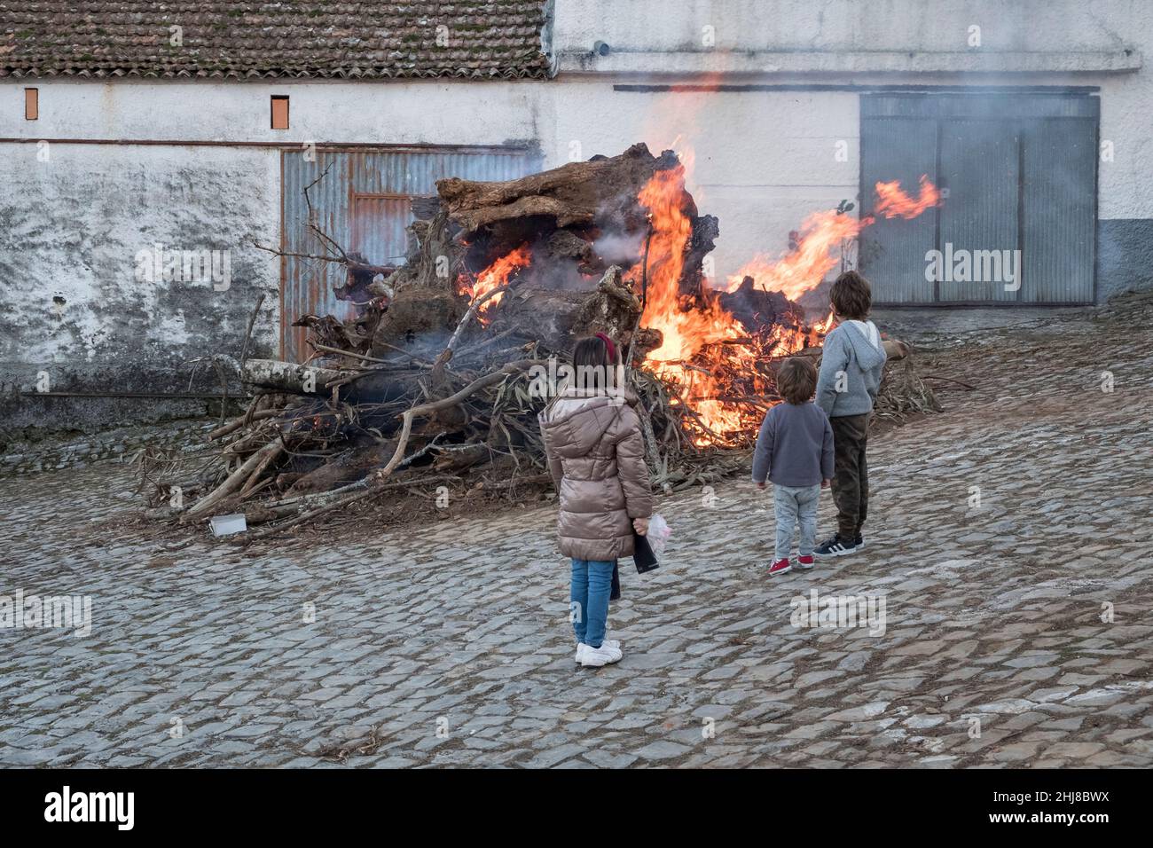 Kinder in einem portugiesischen Dorf beobachten das traditionelle Weihnachtsfeuer oder Madeiro, das in der Woche vor Weihnachten angezündet und verbrannt wird Stockfoto