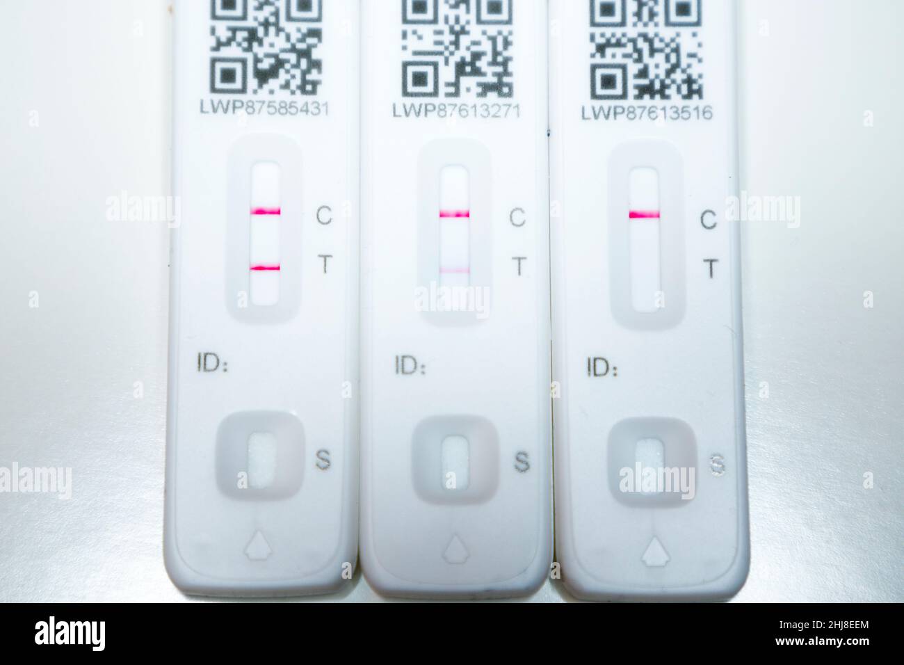 Zwei positive Ergebnisse und ein einziges negatives Testergebnis. Drei Lateral Flow Test / LFT / LFD / Lateral Flow Devices Kits / Device Kit, von denen zwei während der Antigenhome-Tests in London positiv (mit zwei roten Linien) auf COVID 19-Virus-Coronavirus getestet wurden. VEREINIGTES KÖNIGREICH. Um positiv zu erscheinen, werden zwei rote Linien angezeigt. Ein Test zeigt, dass die positive Linie schwach/schwach ist. Der dritte Test, der nur eine Zeile zeigt, ist ein negativer Test. Der Test (durch Flowfex hergestellt in China) hat Virus in der Probe Nasenabstrich aus der Nase gefunden. Die Tests veranschaulichen die Genesung und Genesung von Covid-Infektionen. (128) Stockfoto