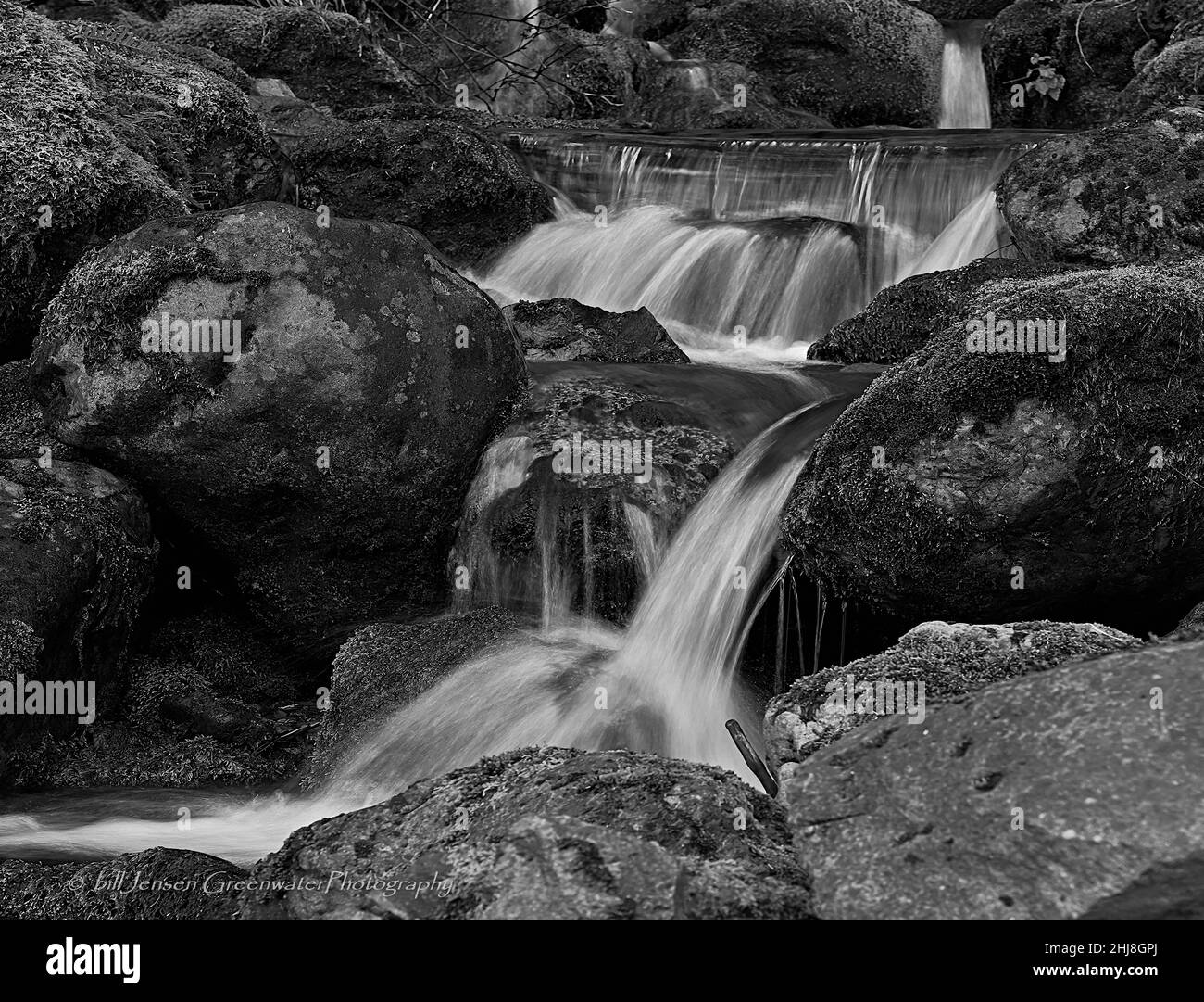 North End Lake Cushman Stockfoto