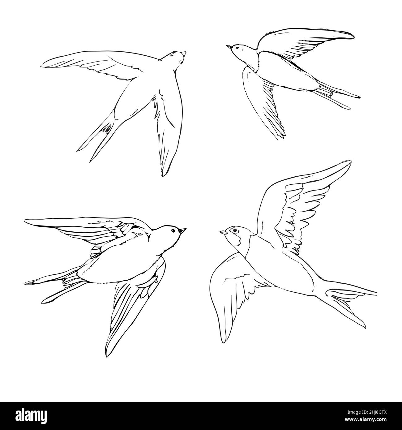 Set von der Schwalbe-Icons. Design-Elemente für Poster, T-shirt. Vektor-Illustration. Stock Vektor