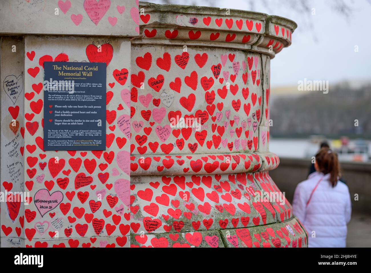 London, Großbritannien. 27. Januar 2022. Ein grauer Morgen in der Hauptstadt. Rote Herzen, die den Tod von Angehörigen aus Covid auf der National Covid Memorial Wall aufzeichnen Stockfoto