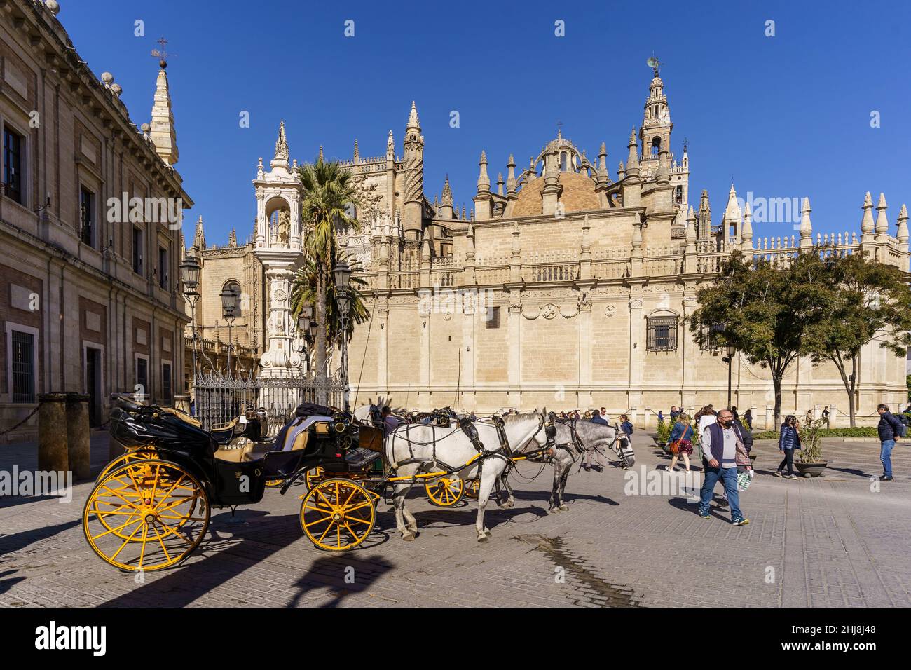 Sevilla, Spanien - 08 2021. November: In der Kathedrale von Sevilla im historischen Zentrum wartet an einem sonnigen Tag i eine Pferdekutsche auf Touristen Stockfoto