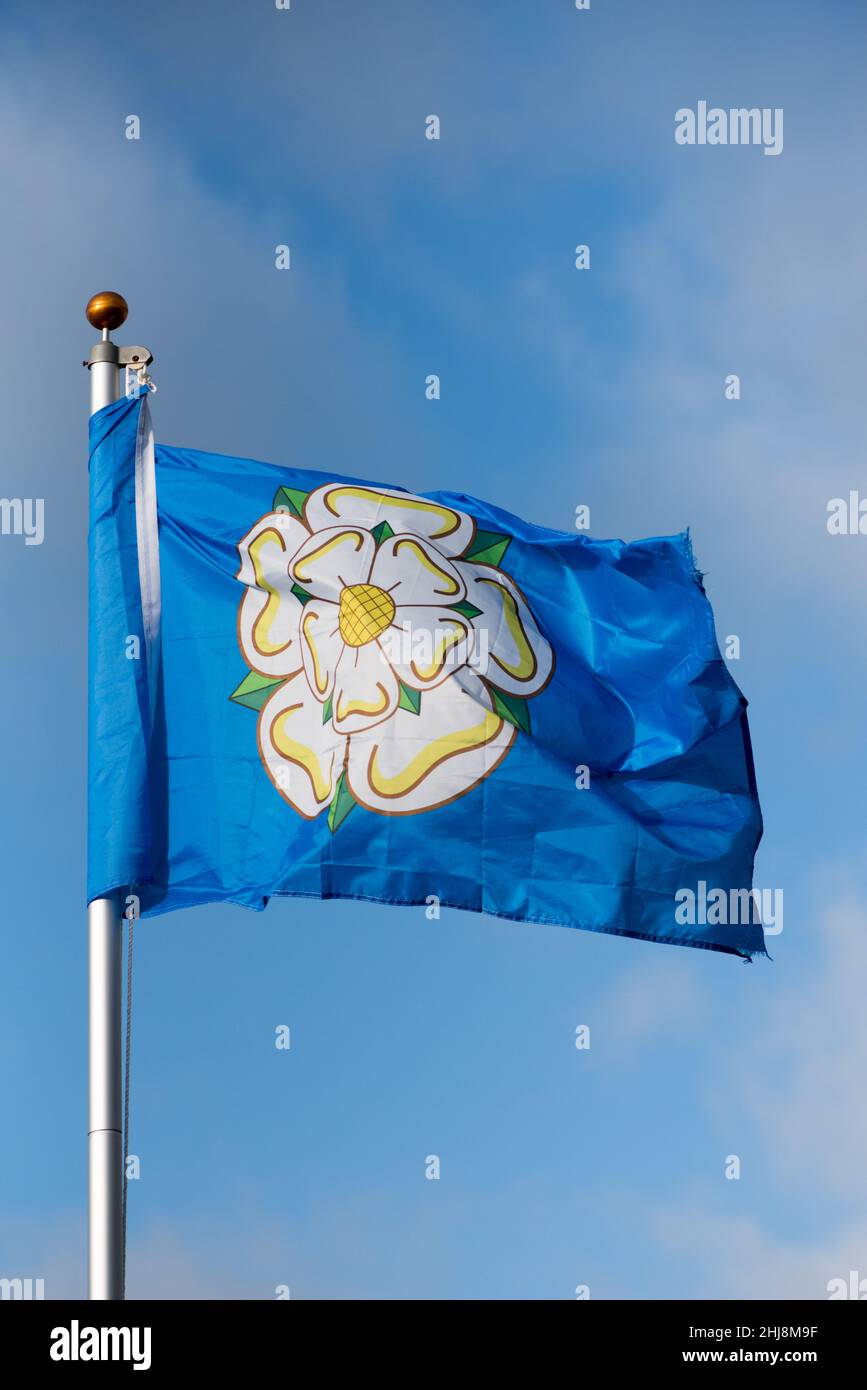 Die aktuelle Yorkshire County Flagge, eine weiße Rose auf blauem Hintergrund & Symbol des Hauses York.Yorkshire Symbolik. Stockfoto