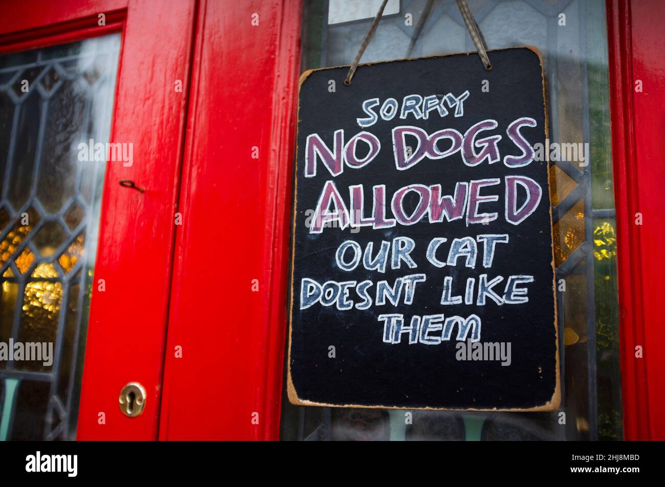 Ein Pub in Brighton, in dem keine Hunde erlaubt sind Stockfoto
