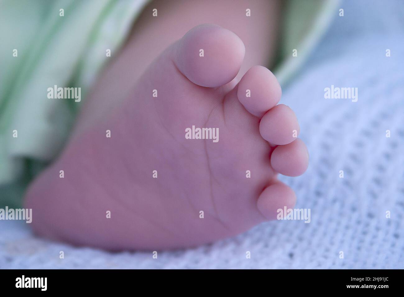 Der kleine Fuß des Neugeborenen Stockfoto