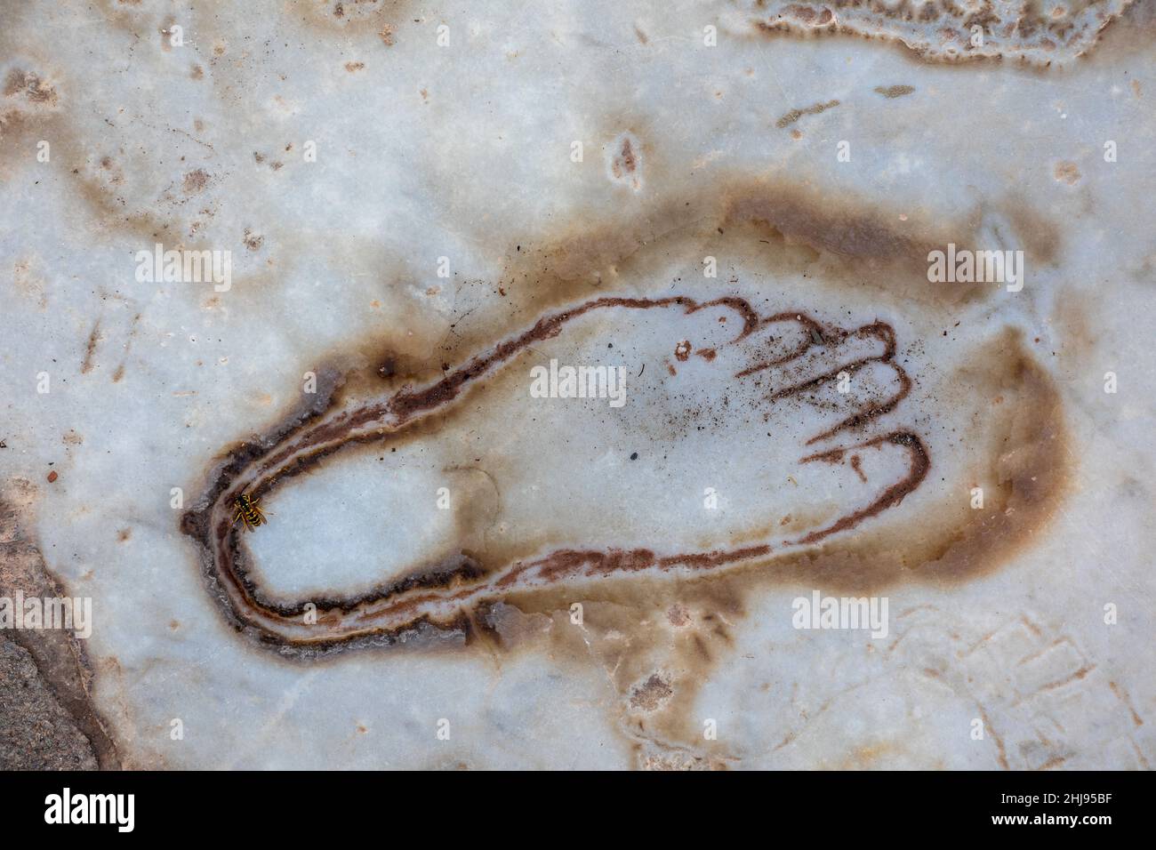 Nahaufnahme der Fußschnitzerei-Figur aus der antiken Stadt Ephesus in Selcuk, Izmir, Türkei am 22. Oktober 2021. Stockfoto