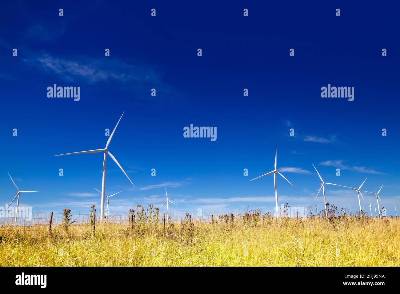 Windkraftanlage. Windkraft-Stromerzeuger. Klimawandel und Umweltschutz. Stockfoto