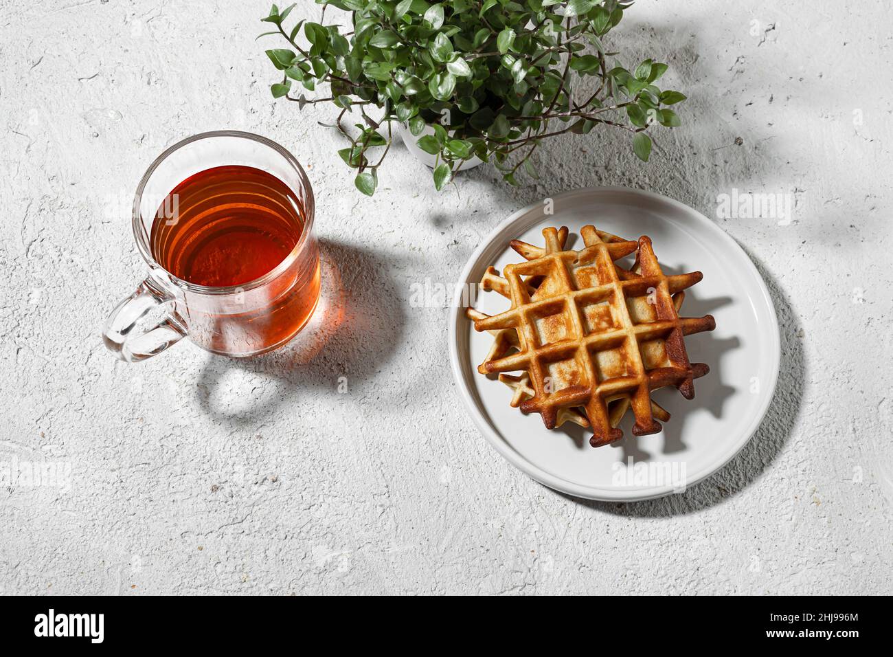 Belgische Waffeln und eine Tasse Tee auf einem hellen Tisch mit Callisia-Pflanze, leckeres Frühstückskonzept, Blick von oben Stockfoto