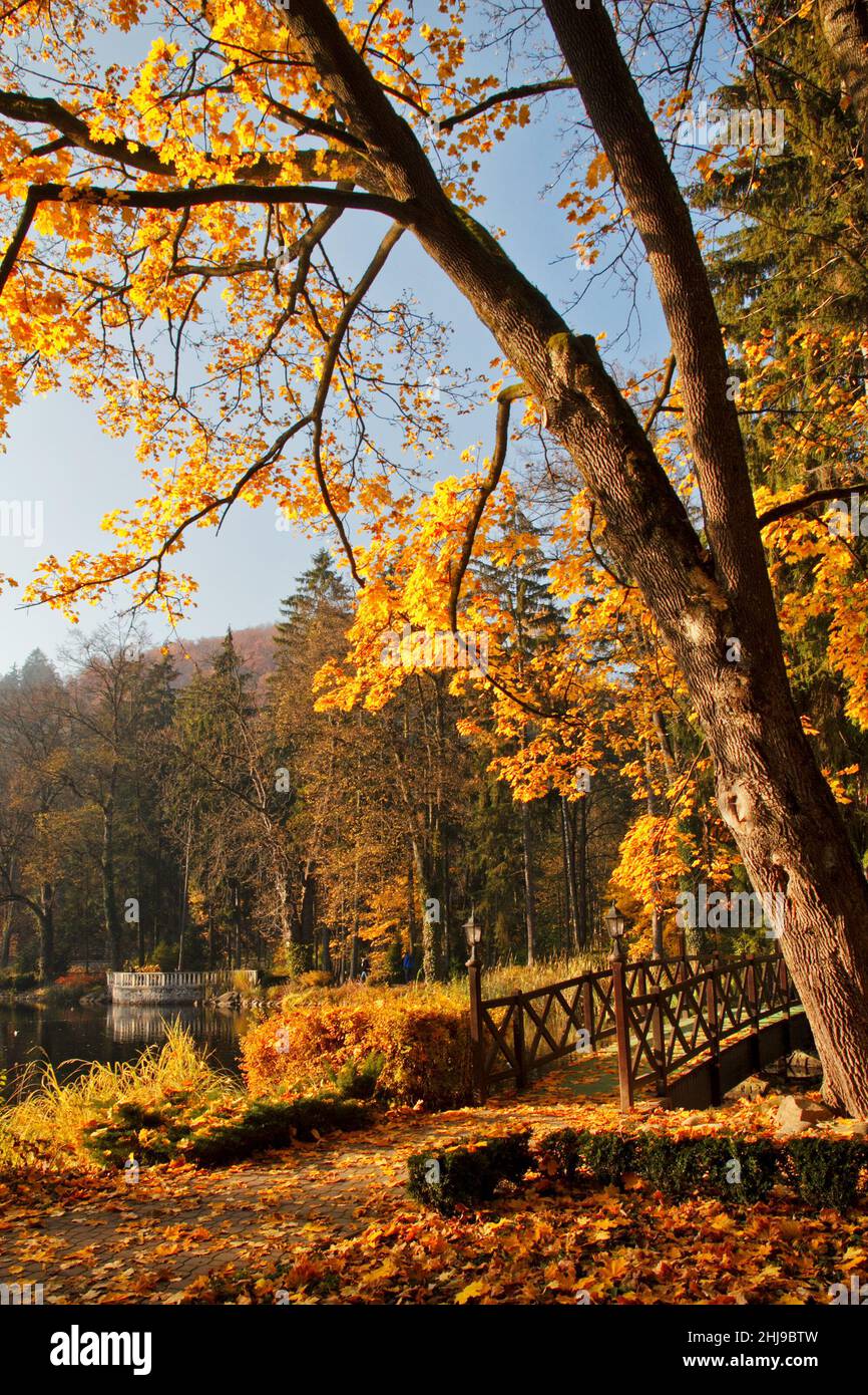Herbst im Park mit einem See im Kurort Rajecké Teplice, Slowakei, Mitteleuropa Stockfoto