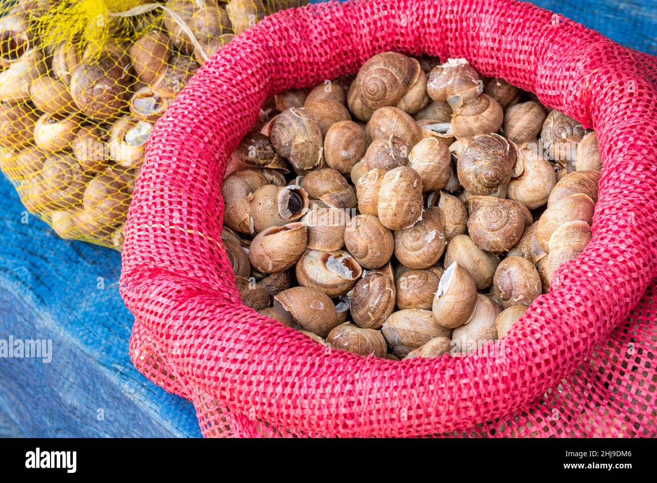 Genießbare Schnecken in Muscheln, die auf dem Markt verkauft werden. Stockfoto