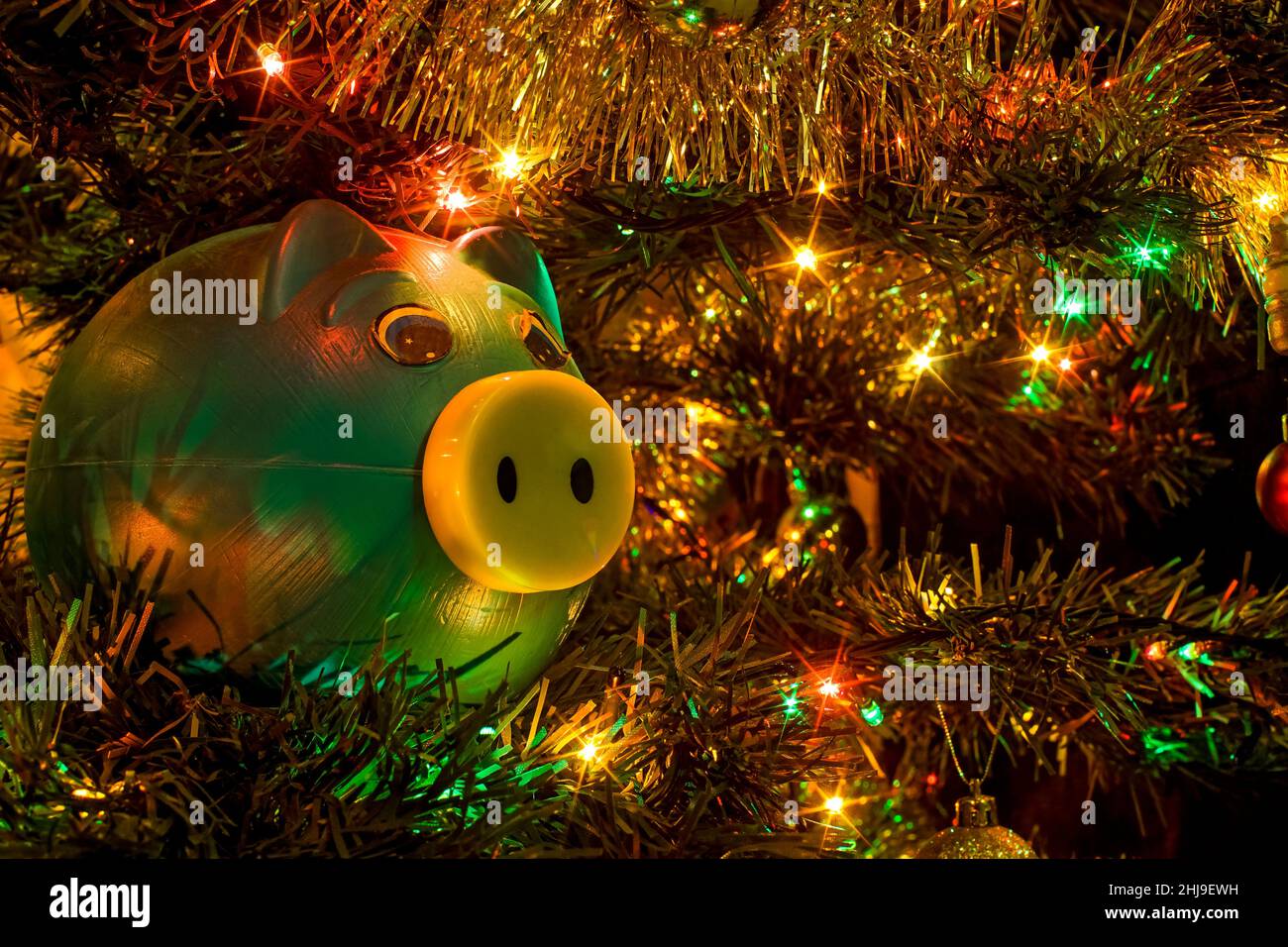 Fette Sparschweine in einem weihnachtsbaum Stockfoto