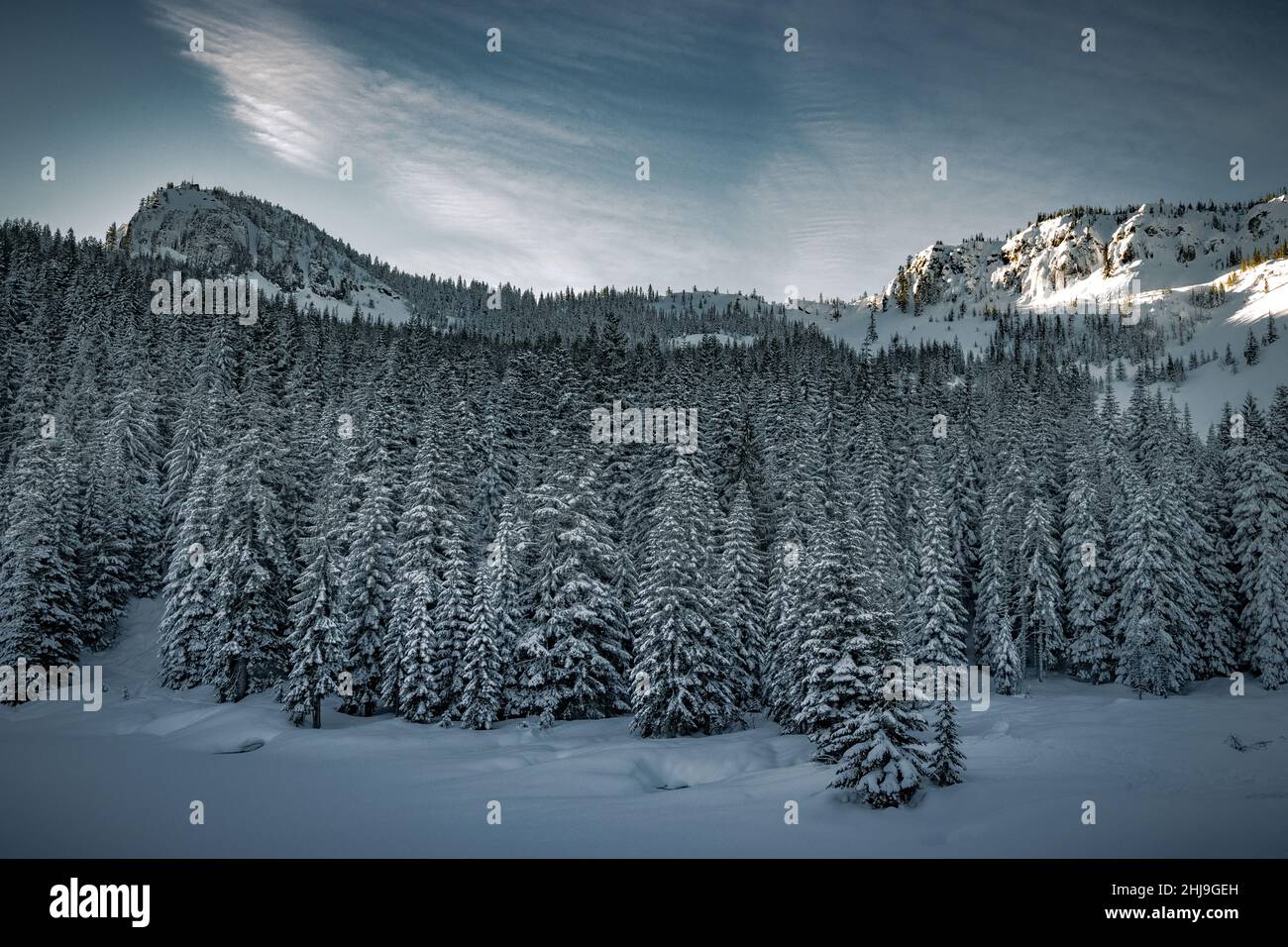 Skipiste im Winter bei Sonnenuntergang vom Mount Hood National Forest in Oregon Stockfoto