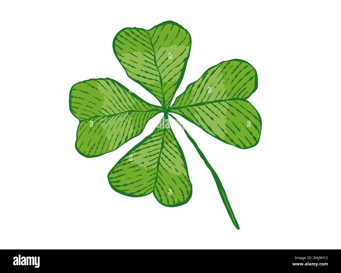 Vintage Green Lucky Clover mit vier Blättern in der Hand Zeichnung Stil für Patrick's Day. Stock Vektor