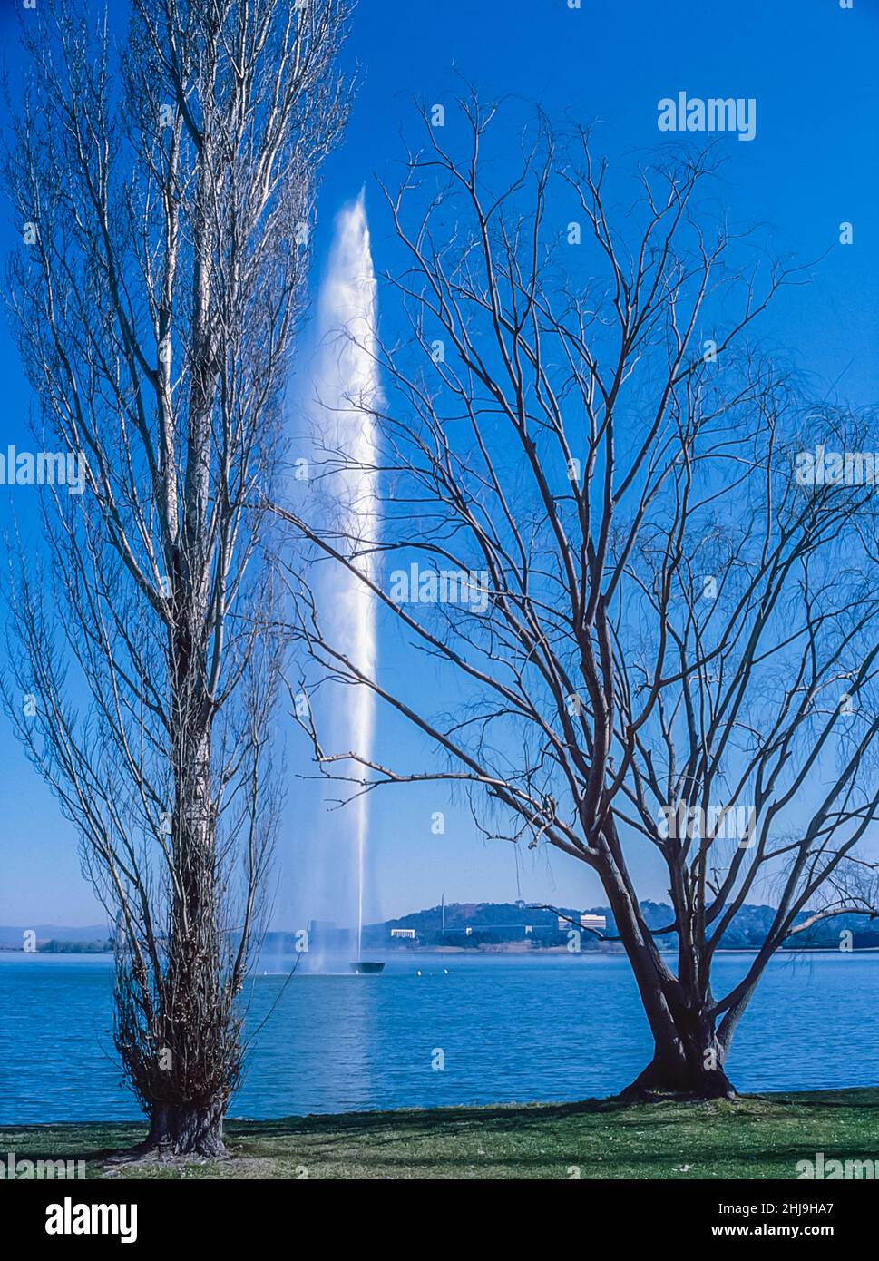 Dies ist Lake Burley Griffin und sein riesiger Brunnen, der so nach dem amerikanischen Architekten benannt wurde, der das Layout für die Stadt Canberra, Australiens Hauptstadt und Regierungsverwaltungszentrum, wie es 1982 war, entworfen hat Stockfoto