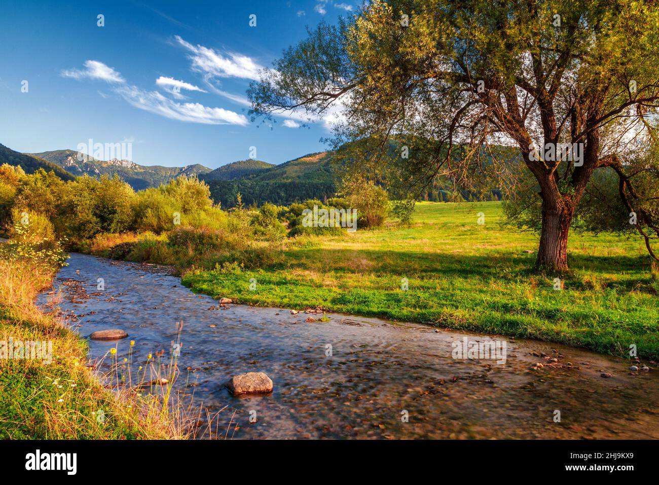 Sonnige Landschaft mit Bach aus den Bergen und blauer Himmel mit Wolken im Hintergrund, Nationalpark Mala Fatra, Slowakei. Stockfoto