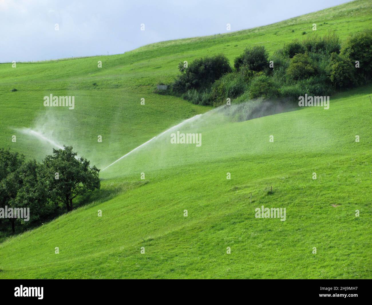 Bergrücken auf der Alm mit Grasregnern Stockfoto