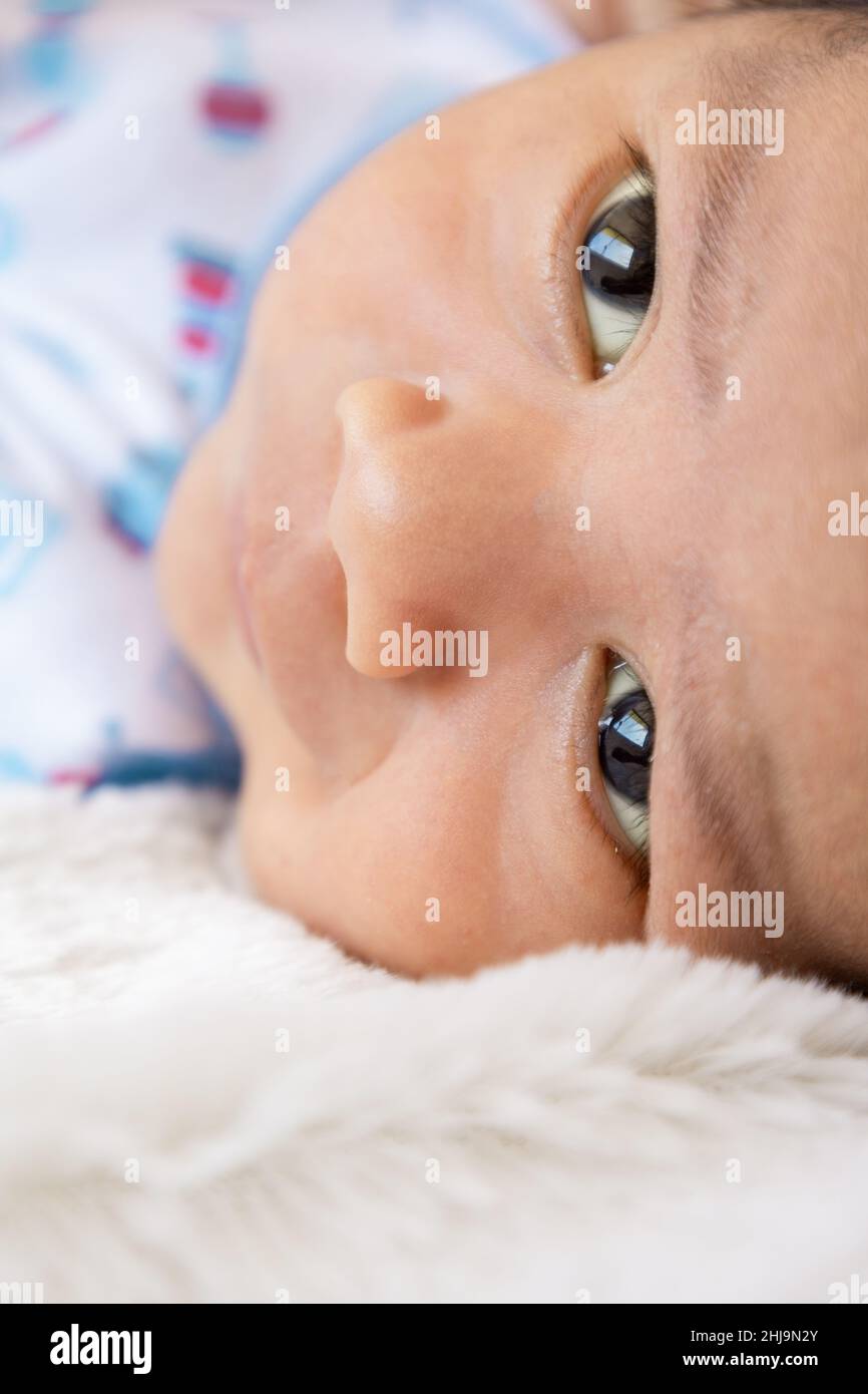 Nahaufnahme der Textur des Gesichts eines lateinischen Babys, das sich hinlegt und umschaut, Unschuld und Zärtlichkeit eines Säuglings, neues Leben Stockfoto