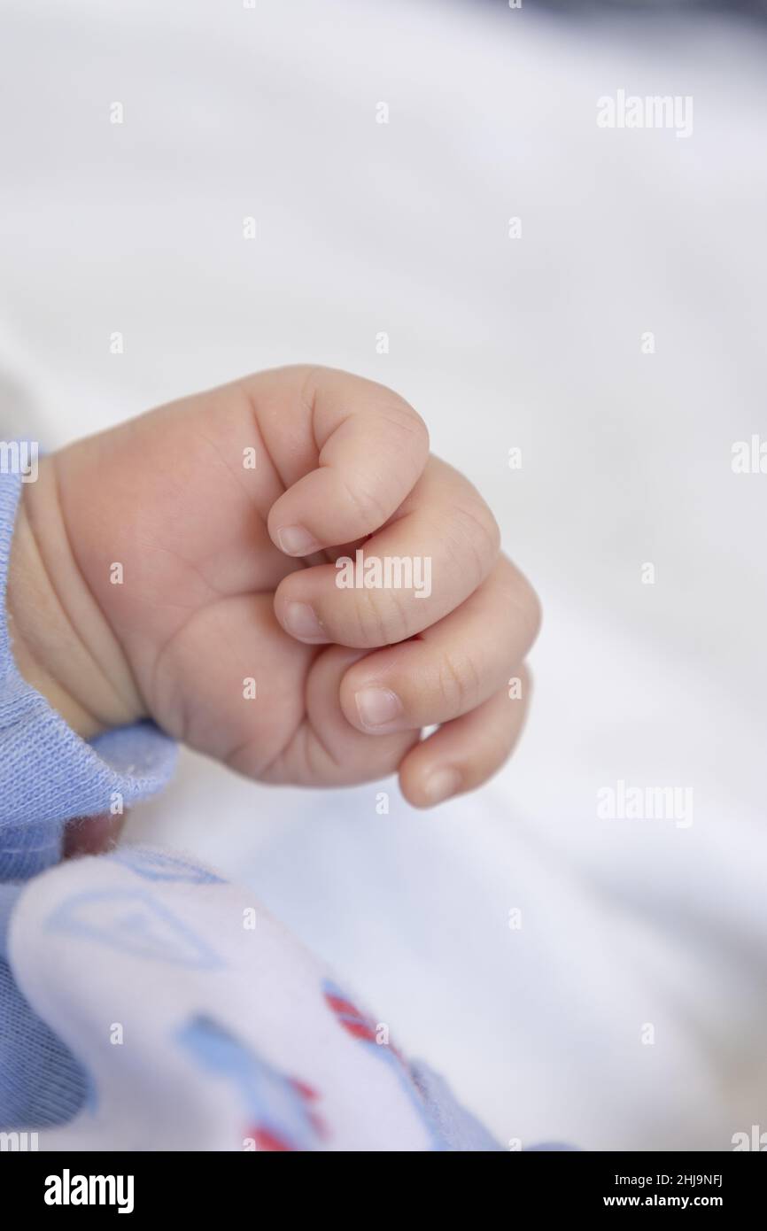 Kleine Hand eines Neugeborenen, Unschuld des neuen Lebens, Konzepte der Liebe und Pflege für das Baby, neues Mitglied der Familie, Lebensstil Stockfoto