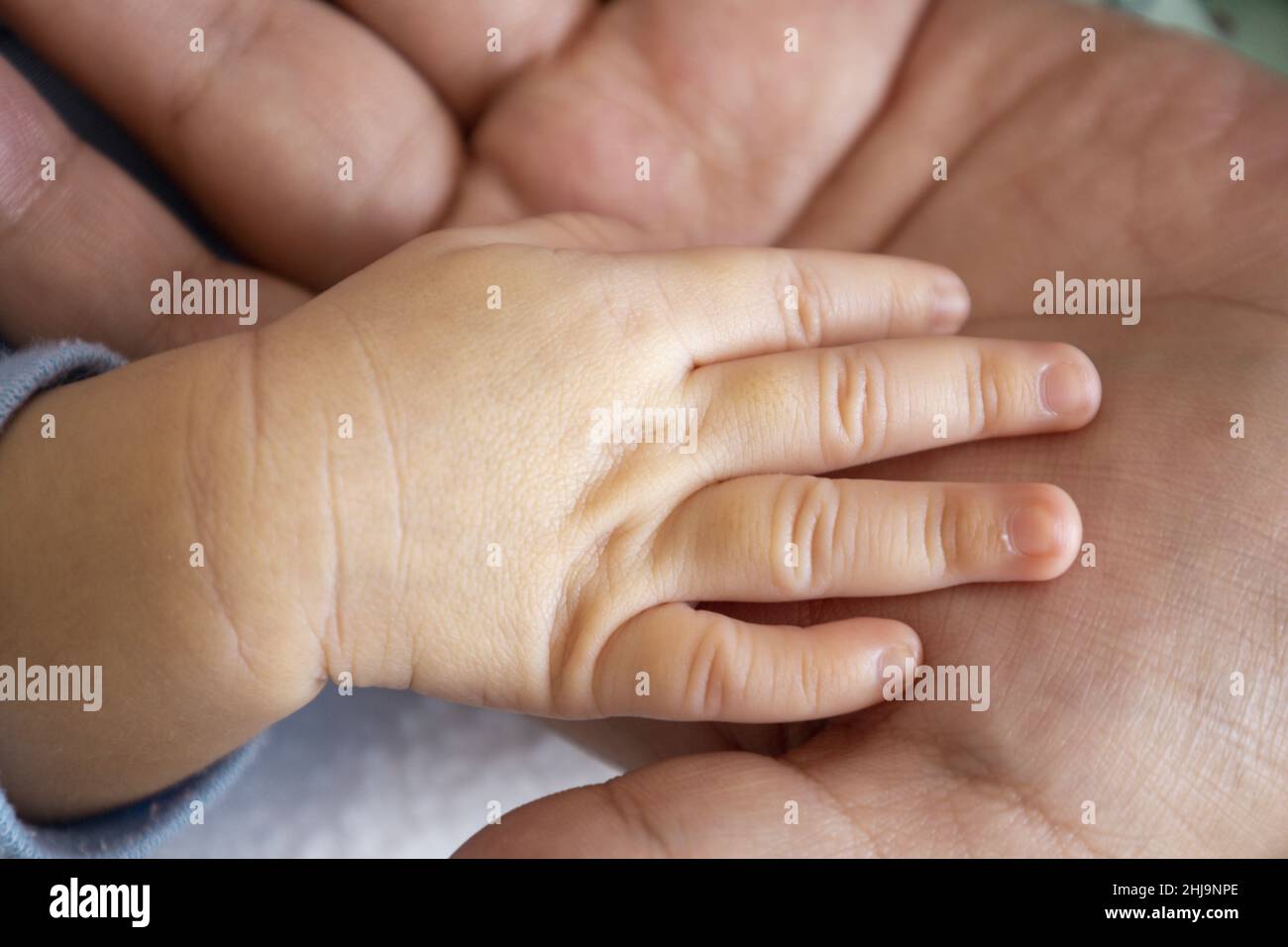 Hand eines Neugeborenen auf der Hand der Eltern, die Schutz, Unschuld des neuen Lebens mit Familienliebe Stockfoto