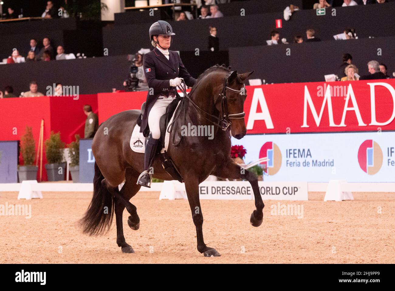 Anne Sophie Serre & Actuelle de Massa FRA während der Longines FEI Weltmeisterschaft 2019 am 30 2019. November in der Madrid Horse Week, Spanien Stockfoto