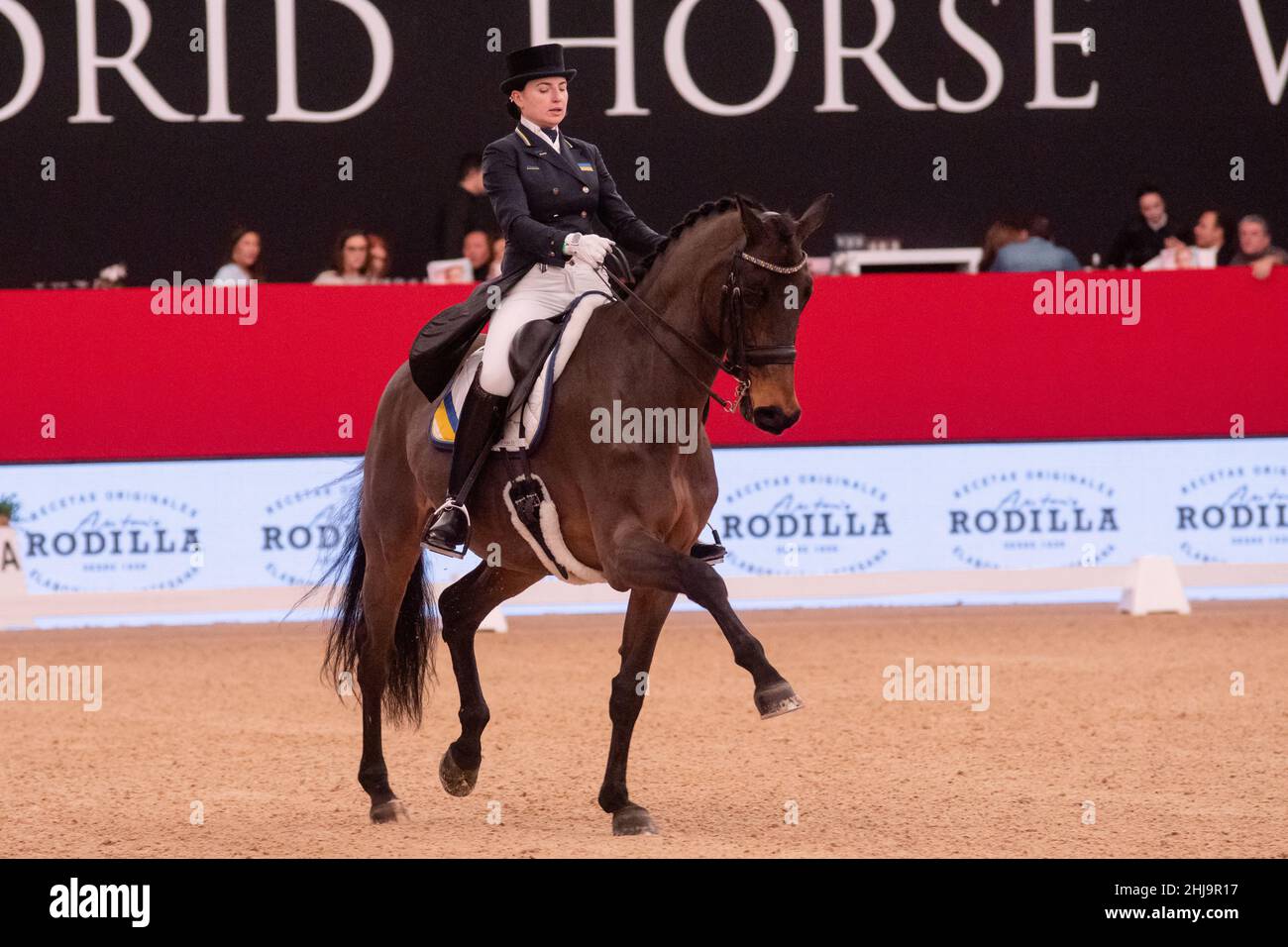 Inna Logutenkova & Fleraro UKR während der Longines FEI Weltmeisterschaft 2019 am 30 2019. November in Madrid, Spanien Stockfoto